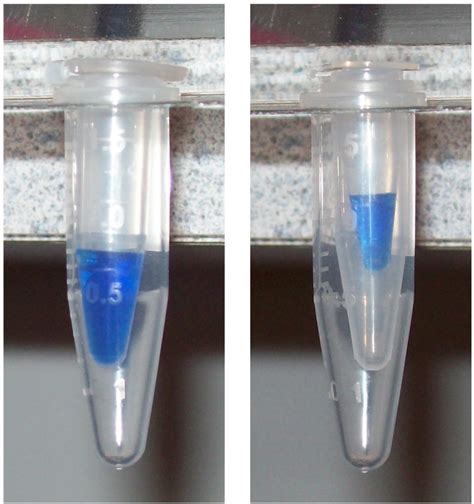 pcr tube vs microcentrifuge